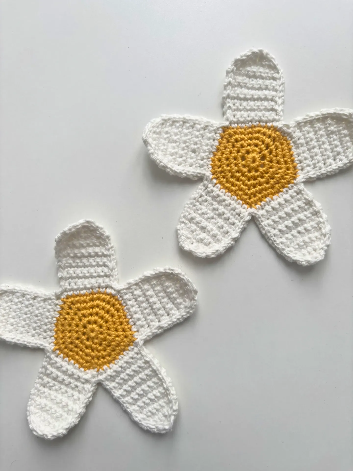 Dessous de verre Marguerite 🌼